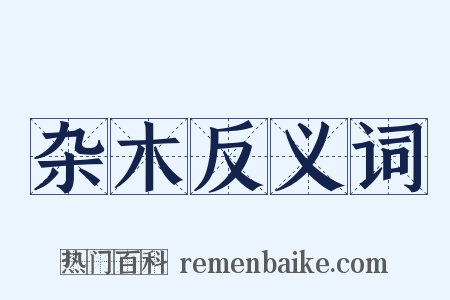 杂木反义词是什么意思的图片